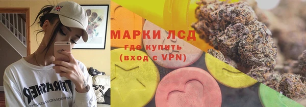 прущие грибы Гусиноозёрск