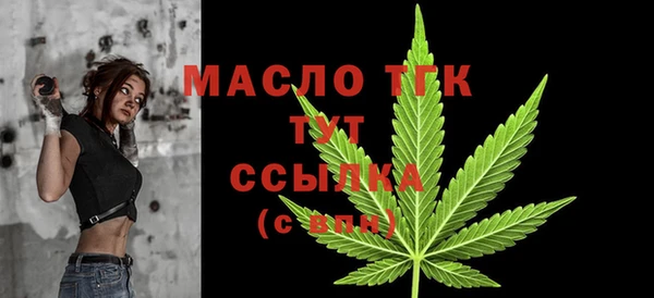 прущие грибы Гусиноозёрск