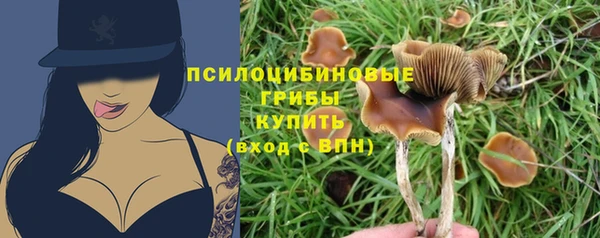 a pvp Гусев